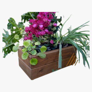 Macetero Florinda 30×28×29 cm